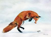 200-318 Fox and prey